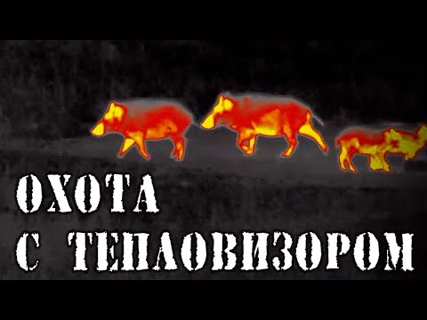 Эвакуация и борьба с лесными пожарами в Турции