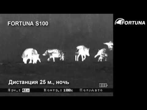 Что ждать от отчета АЛРОСА за I полугодие. Взгляд БКС